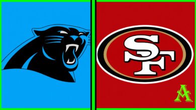 Carolina Panthers vs 49ers Match Player Stats